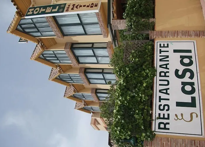 Dona Matilde 에스테포나